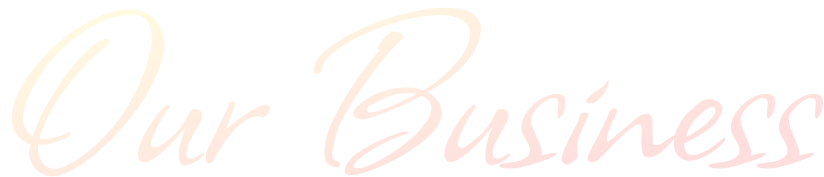 Our Business